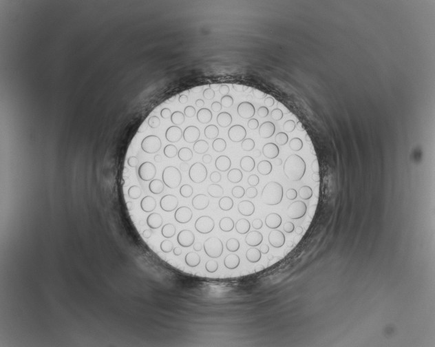 X0000116670662201001251240