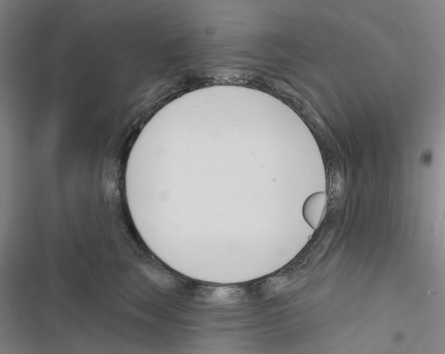 X0000116670663201001251240