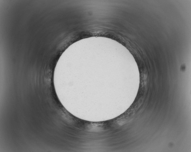 X0000116670664201001251240