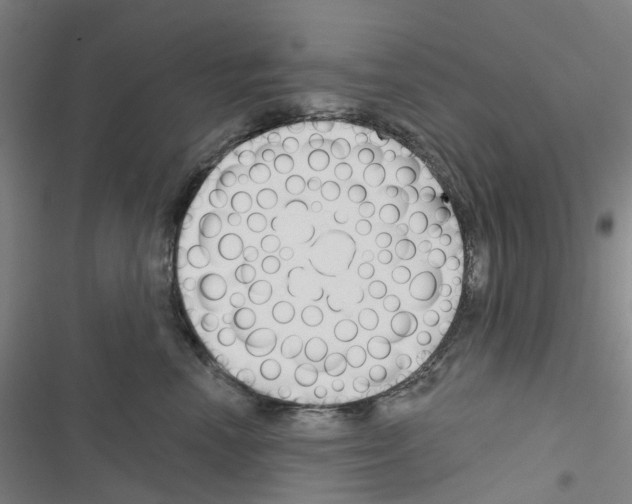 X0000116670666201001251240