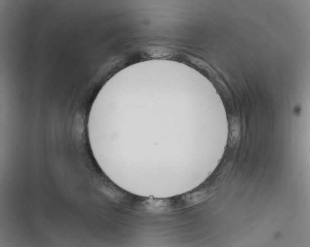 X0000116670667201001251240