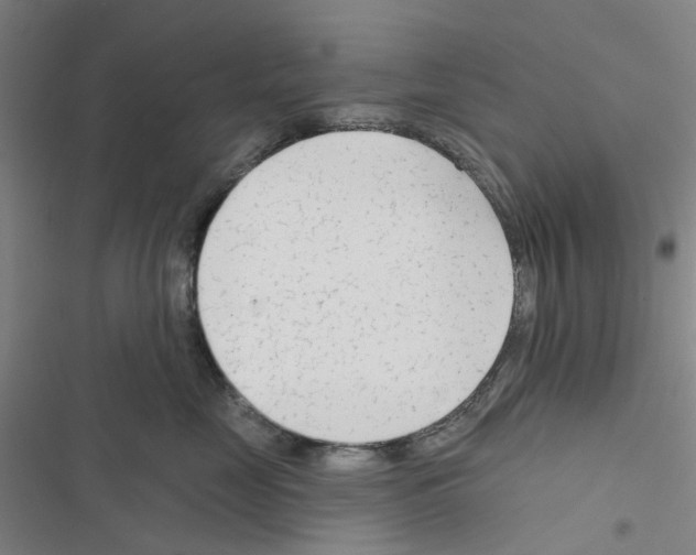 X0000116670669201001251240