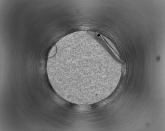 X0000116670670201001251240