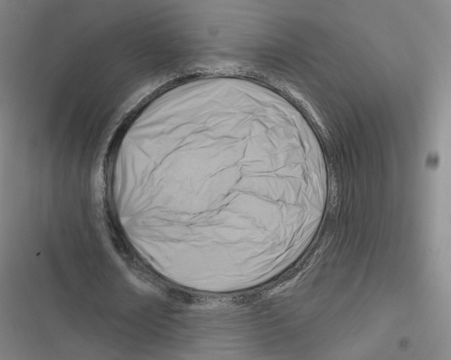 X0000116670674201001251239