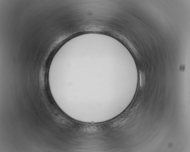 X0000116670675201001251239