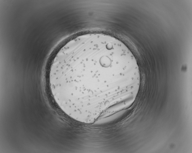 X0000116670676201001251239