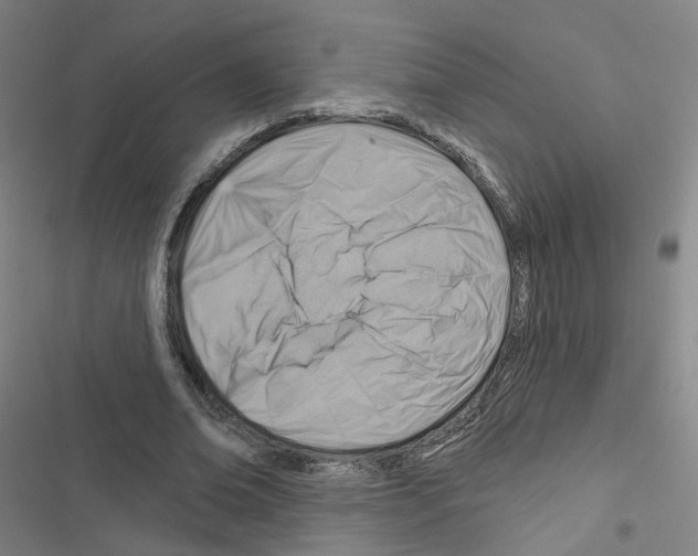 X0000116670678201001251239