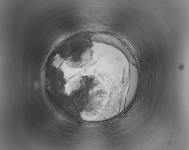 X0000116670679201001251239