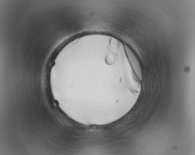 X0000116670680201001251239