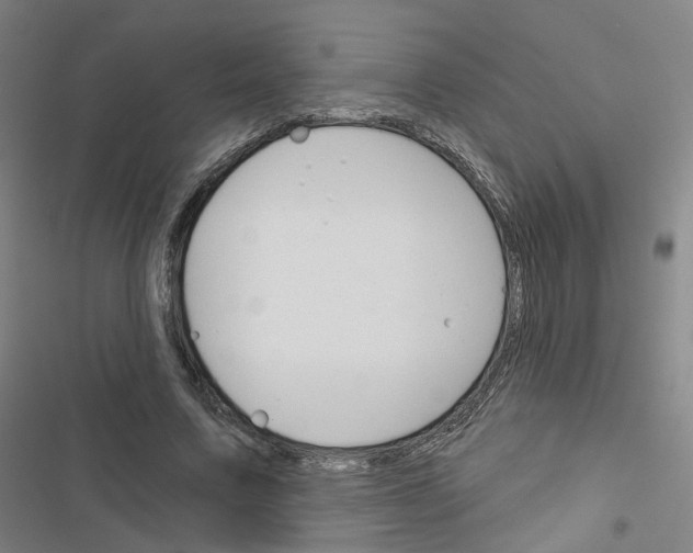 X0000116670683201001251239