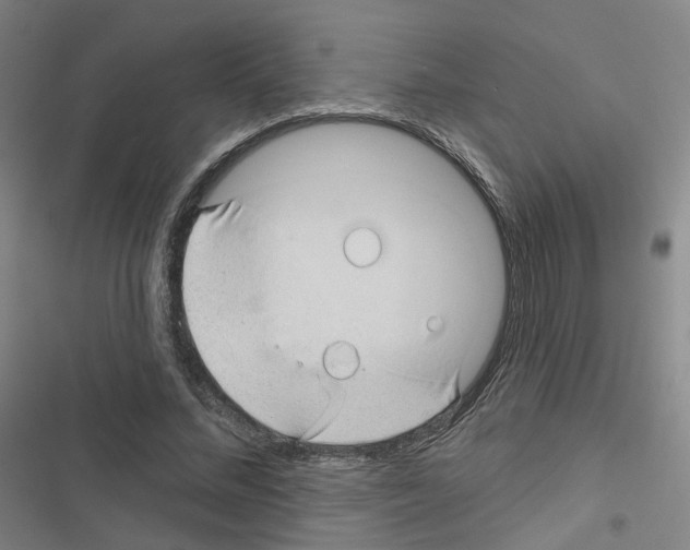X0000116670684201001251239