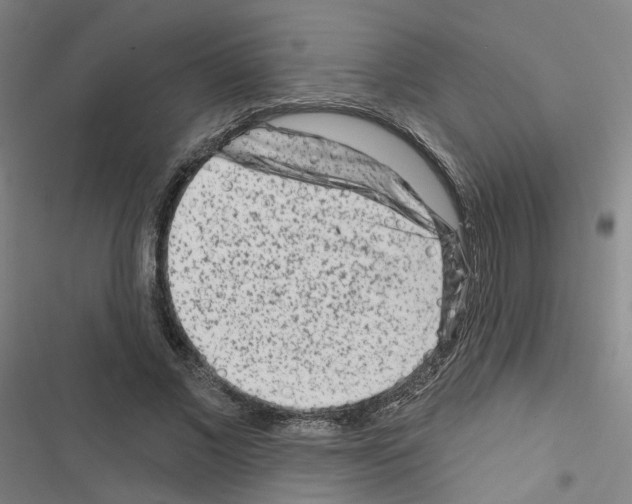 X0000116670685201001251239