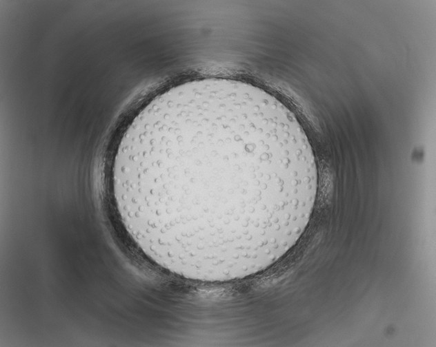 X0000116670686201001251239