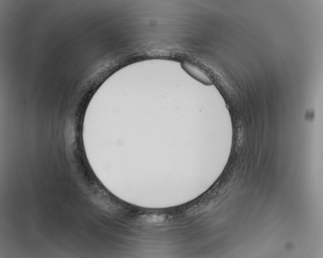 X0000116670687201001251239