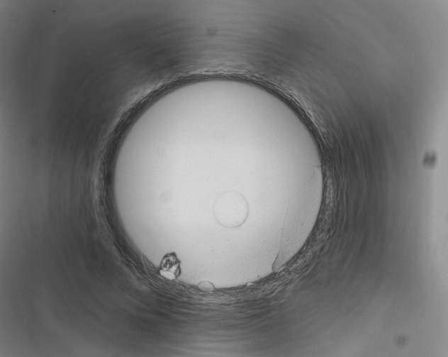 X0000116670688201001251239