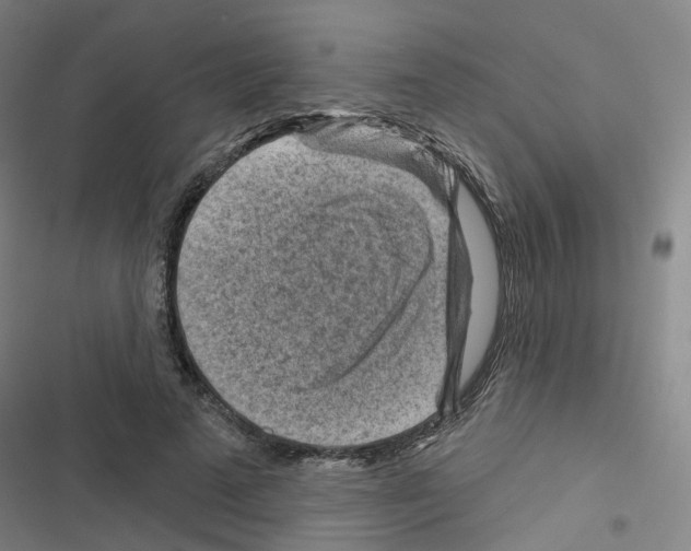 X0000116670689201001251239