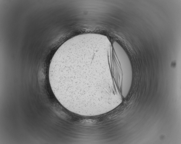 X0000116670691201001251239