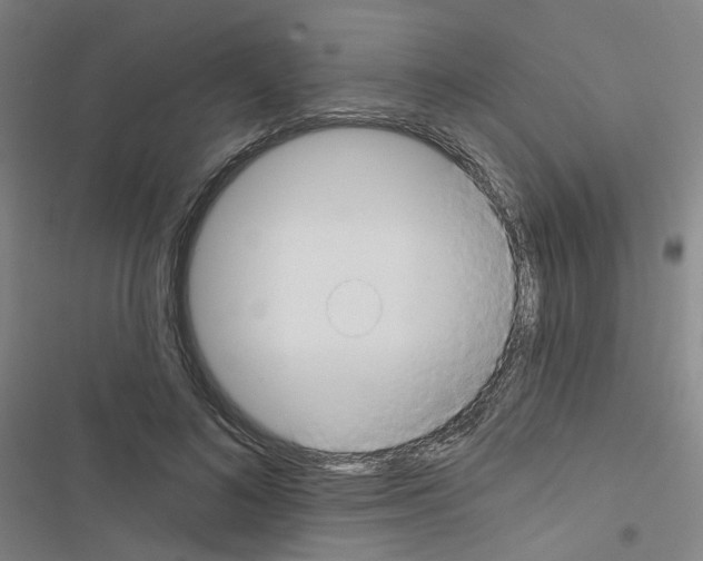 X0000116670692201001251239