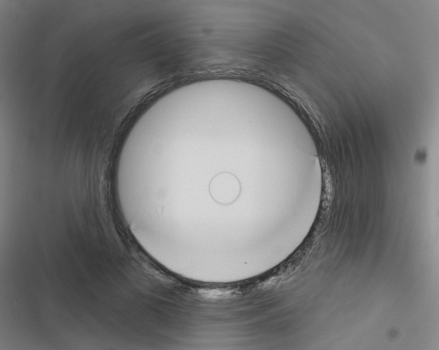 X0000116670693201001251239