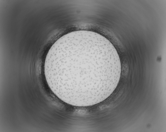 X0000116670694201001251239