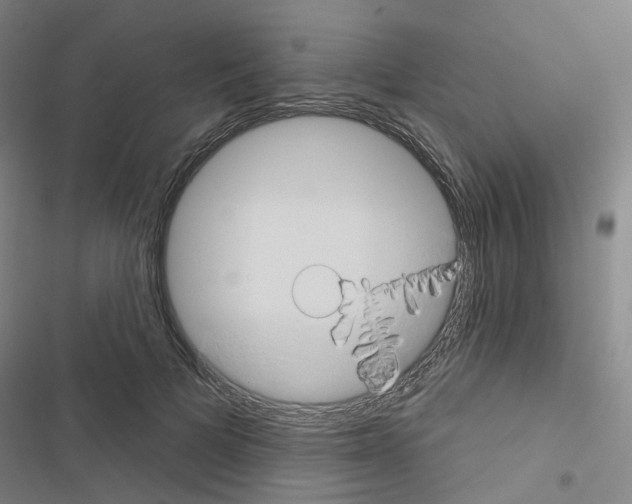 X0000116670697201001251239
