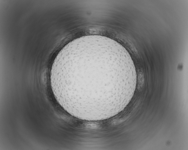 X0000116670698201001251239