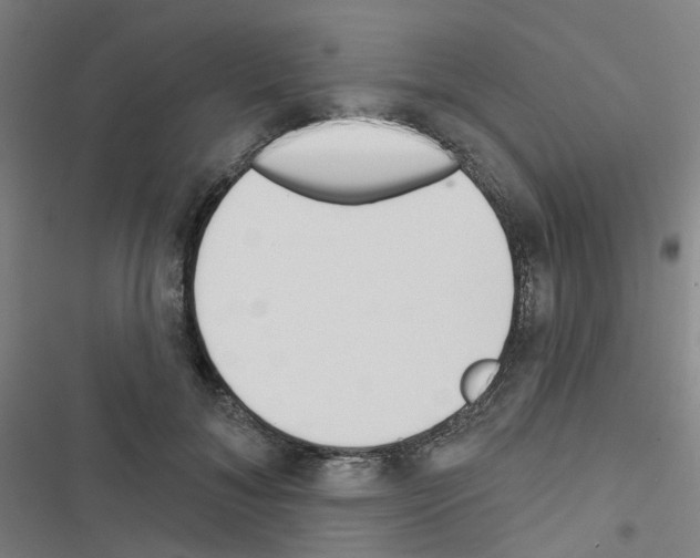 X0000116670700201001251239