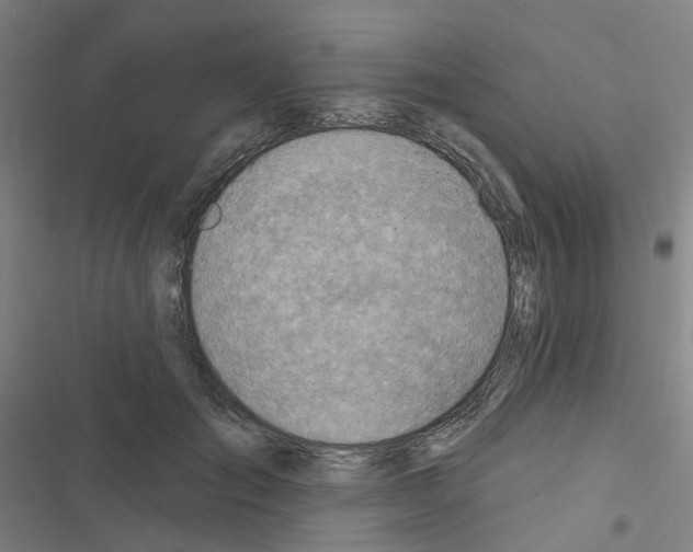 X0000116670701201001251239