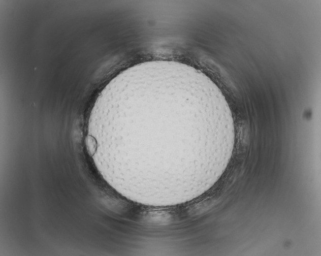 X0000116670702201001251239
