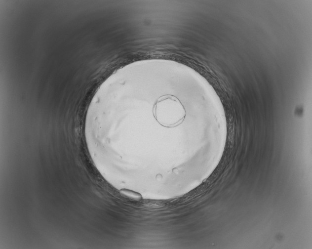 X0000116670704201001251239