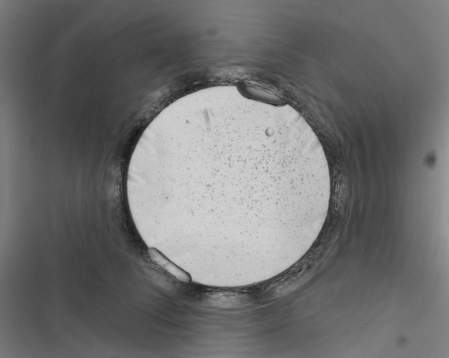 X0000116670708201001251239