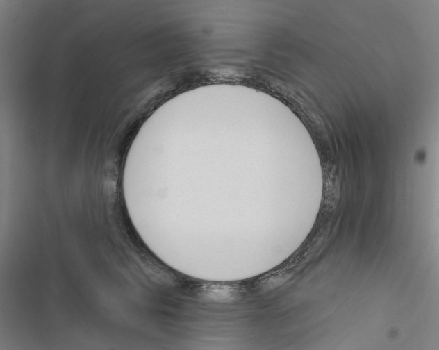 X0000116670710201001251239