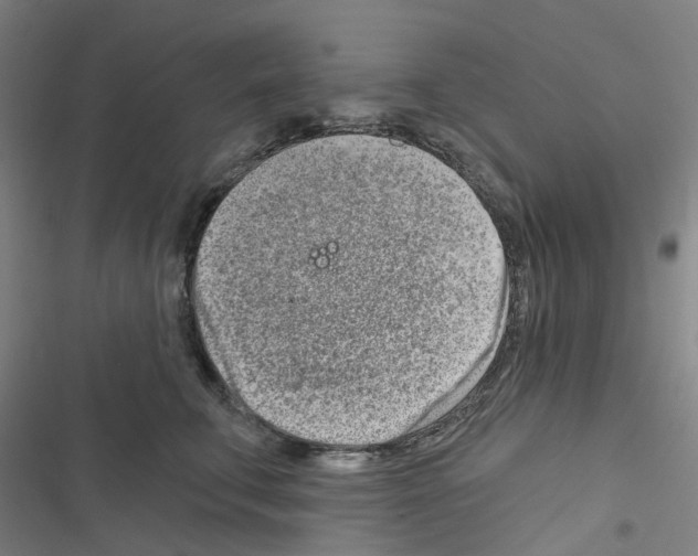 X0000116670711201001251239