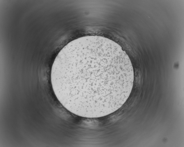 X0000116670712201001251239