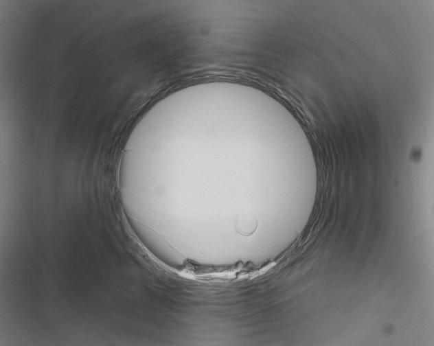 X0000116670713201001251239