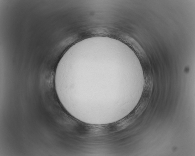 X0000116670717201001251239