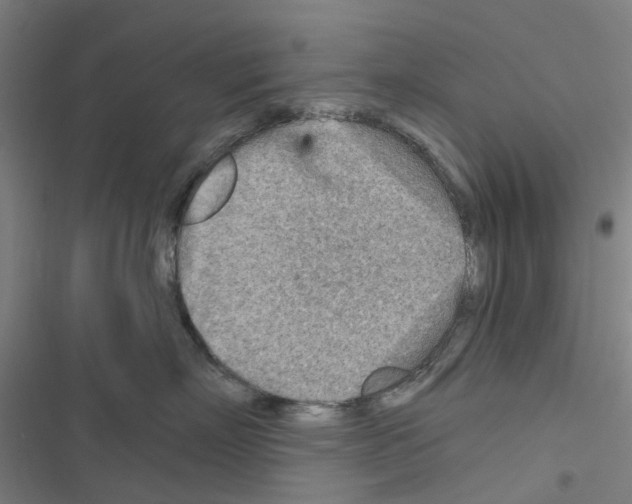 X0000116670718201001251239