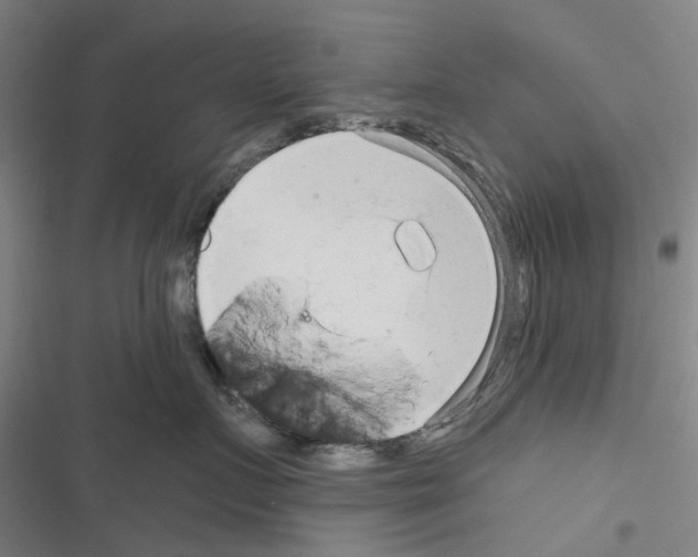 X0000116670719201001251239