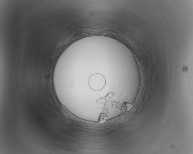 X0000116670720201001251239