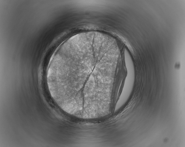 X0000116670722201001251238