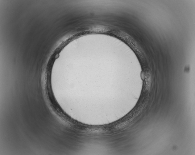 X0000116670726201001251238