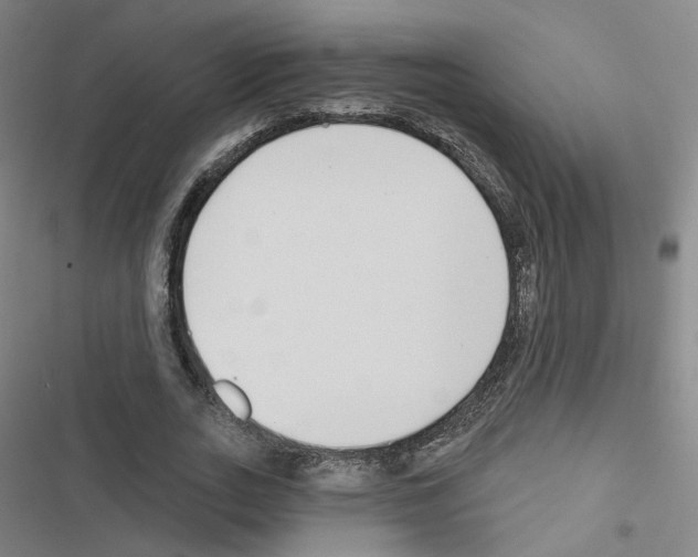 X0000116670727201001251238