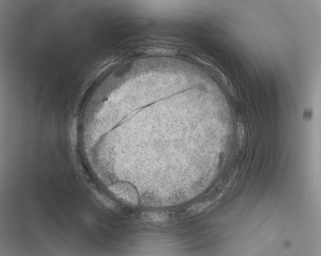 X0000116670729201001251238