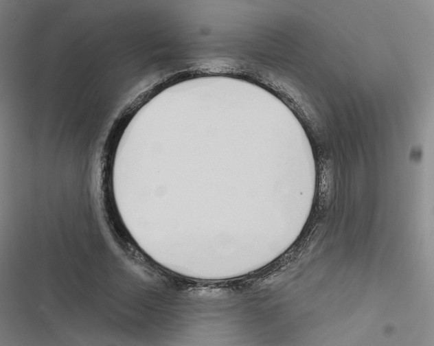 X0000116670730201001251238