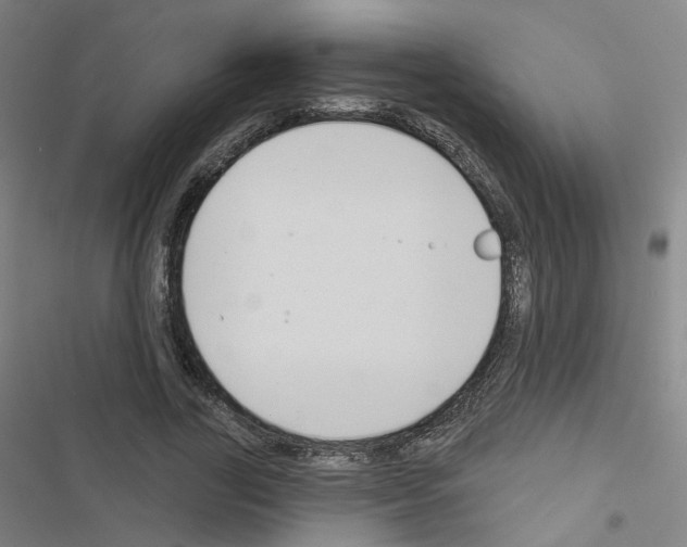 X0000116670731201001251238