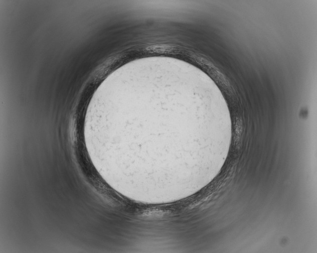 X0000116670734201001251238