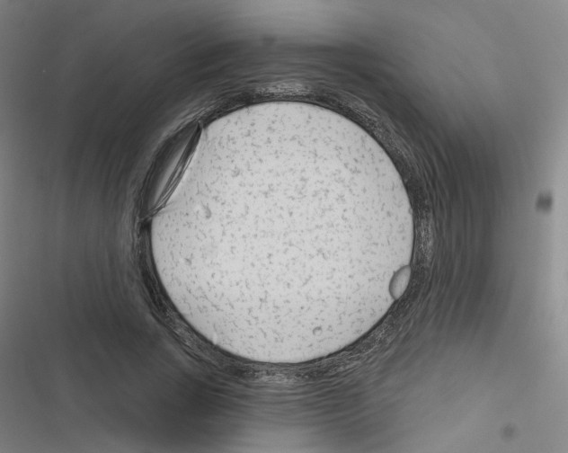 X0000116670735201001251238
