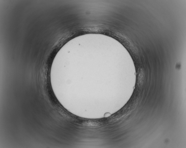 X0000116670739201001251238
