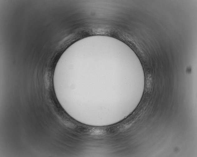 X0000116670741201001251238
