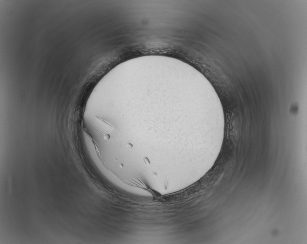 X0000116670742201001251238